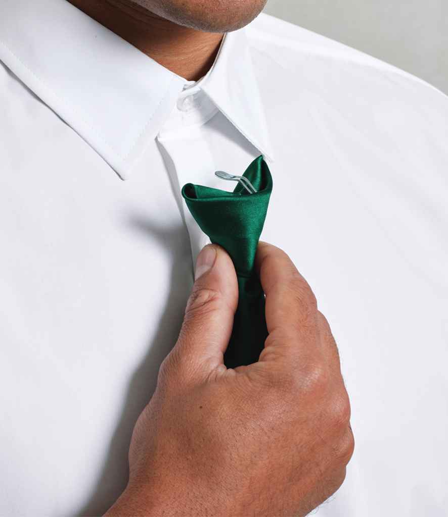 Premier 'Colours' Satin Clip Tie